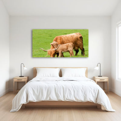 AUTO-MOCKUP ROOM | Highland cow with loving calf