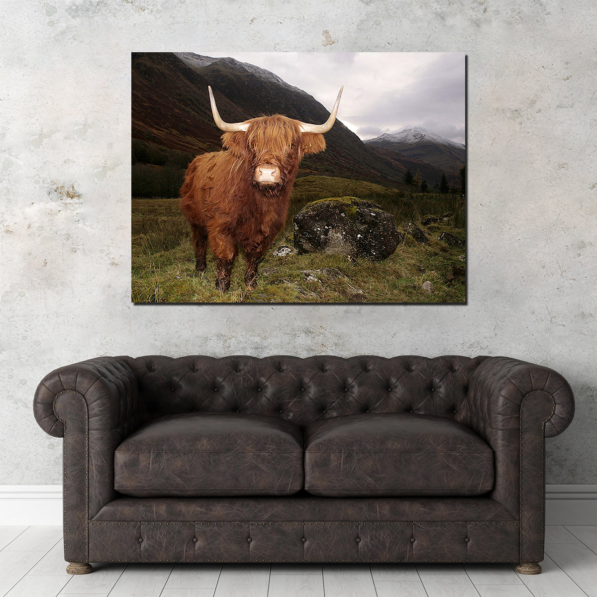 Highland cow in Glen Cow Wall Art