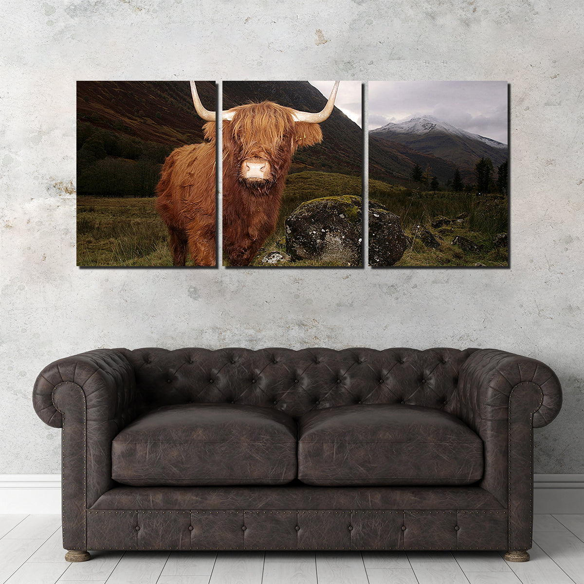 Highland cow in Glen Cow Wall Art