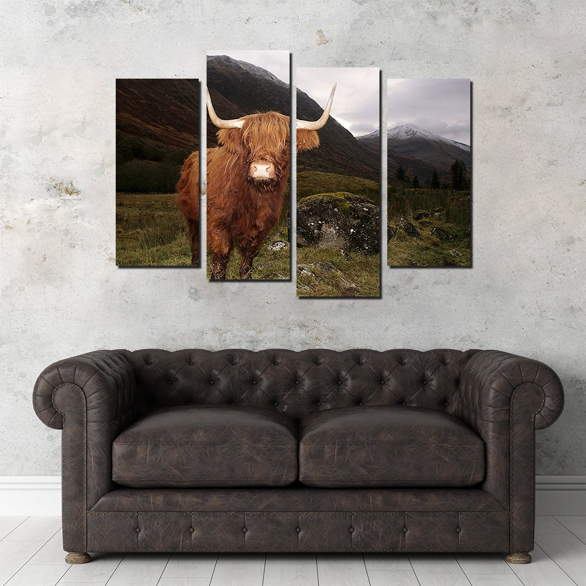 Highland cow in Glen Cow Wall Art