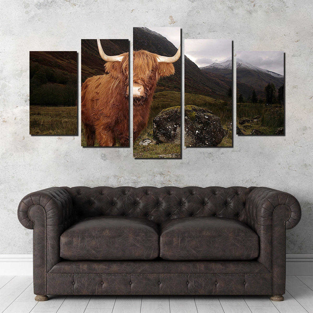 Highland cow in Glen Cow Wall Art