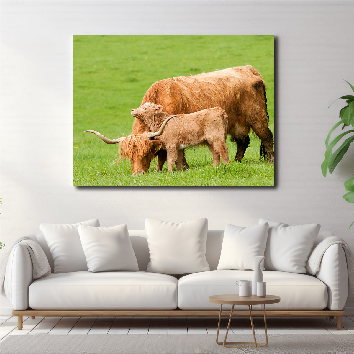 Highland Cow with Loving Calf Wall Art