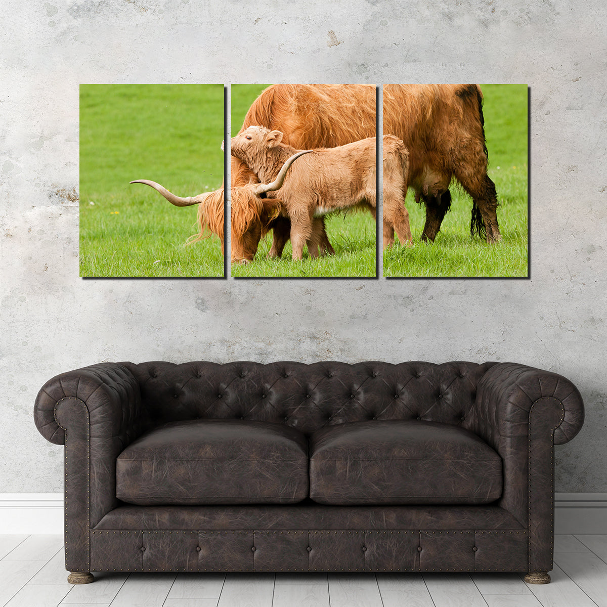 Highland Cow with Loving Calf Wall Art