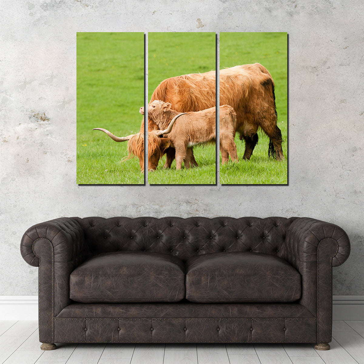 Highland Cow with Loving Calf Wall Art