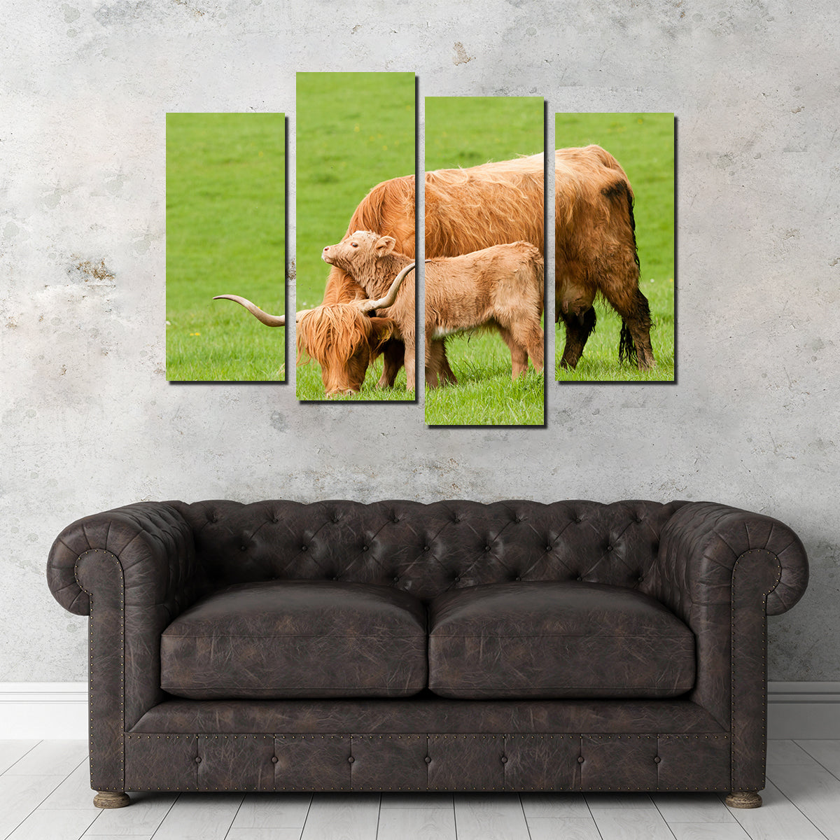 Highland Cow with Loving Calf Wall Art