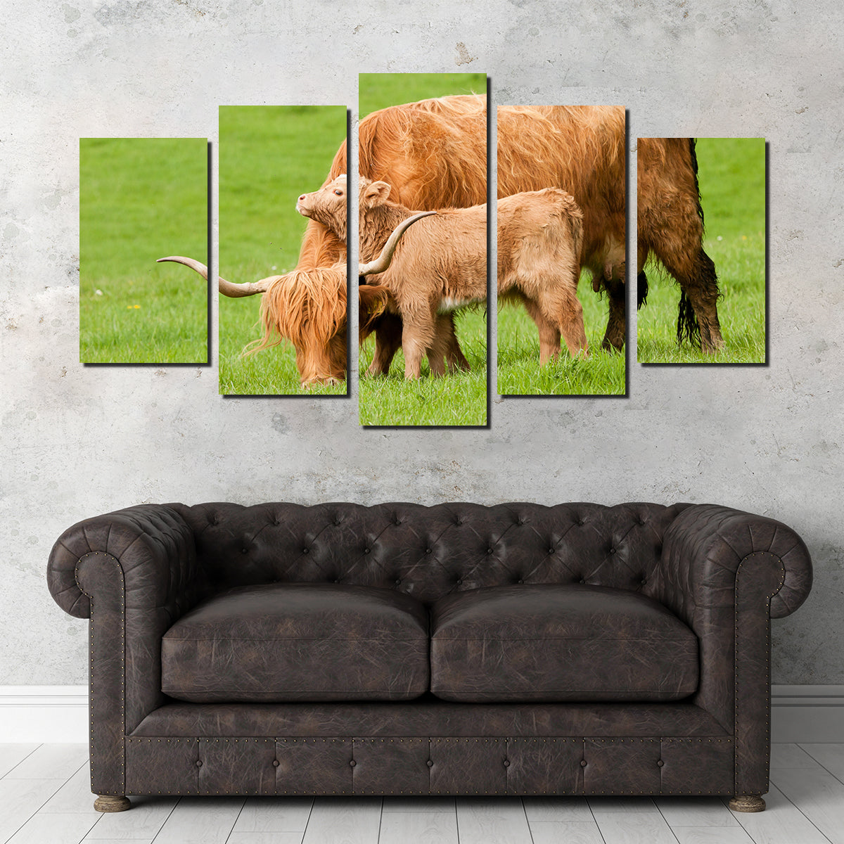 Highland Cow with Loving Calf Wall Art