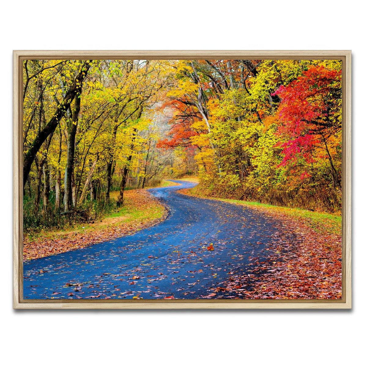 AUTO-MOCKUP WHITE | Hocking Hills fall foliage | 1 Piece | Natural Framed Canvas | group=4x3