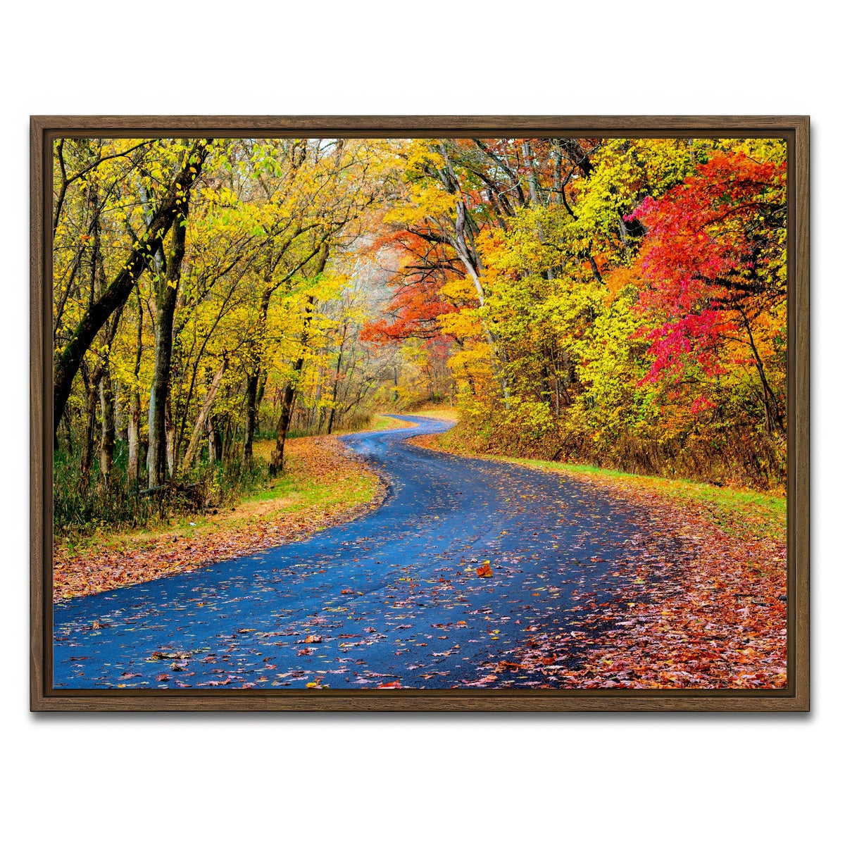 AUTO-MOCKUP WHITE | Hocking Hills fall foliage | 1 Piece | Walnut Framed Canvas | group=4x3