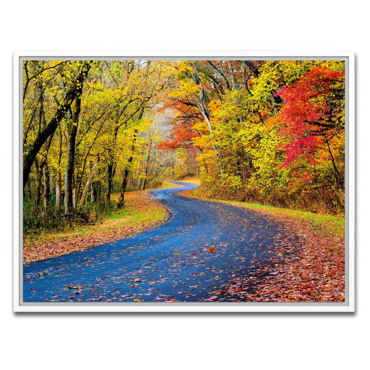 AUTO-MOCKUP WHITE | Hocking Hills fall foliage | 1 Piece | White Framed Canvas | group=4x3