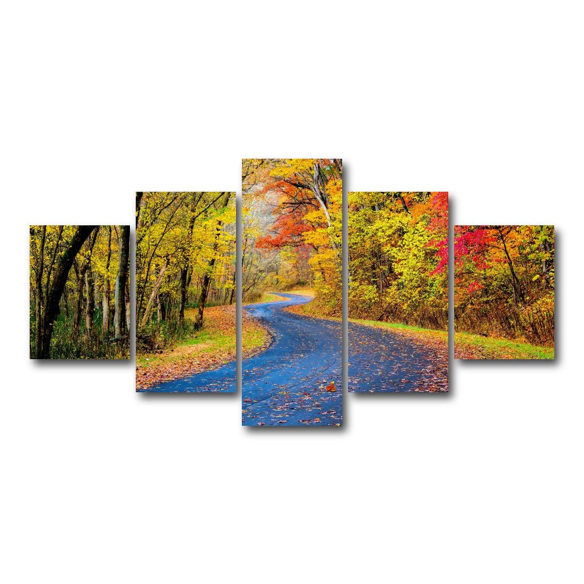 AUTO-MOCKUP WHITE | Hocking Hills fall foliage | 5 Piece | Gallery Wrap Canvas | group=5_short