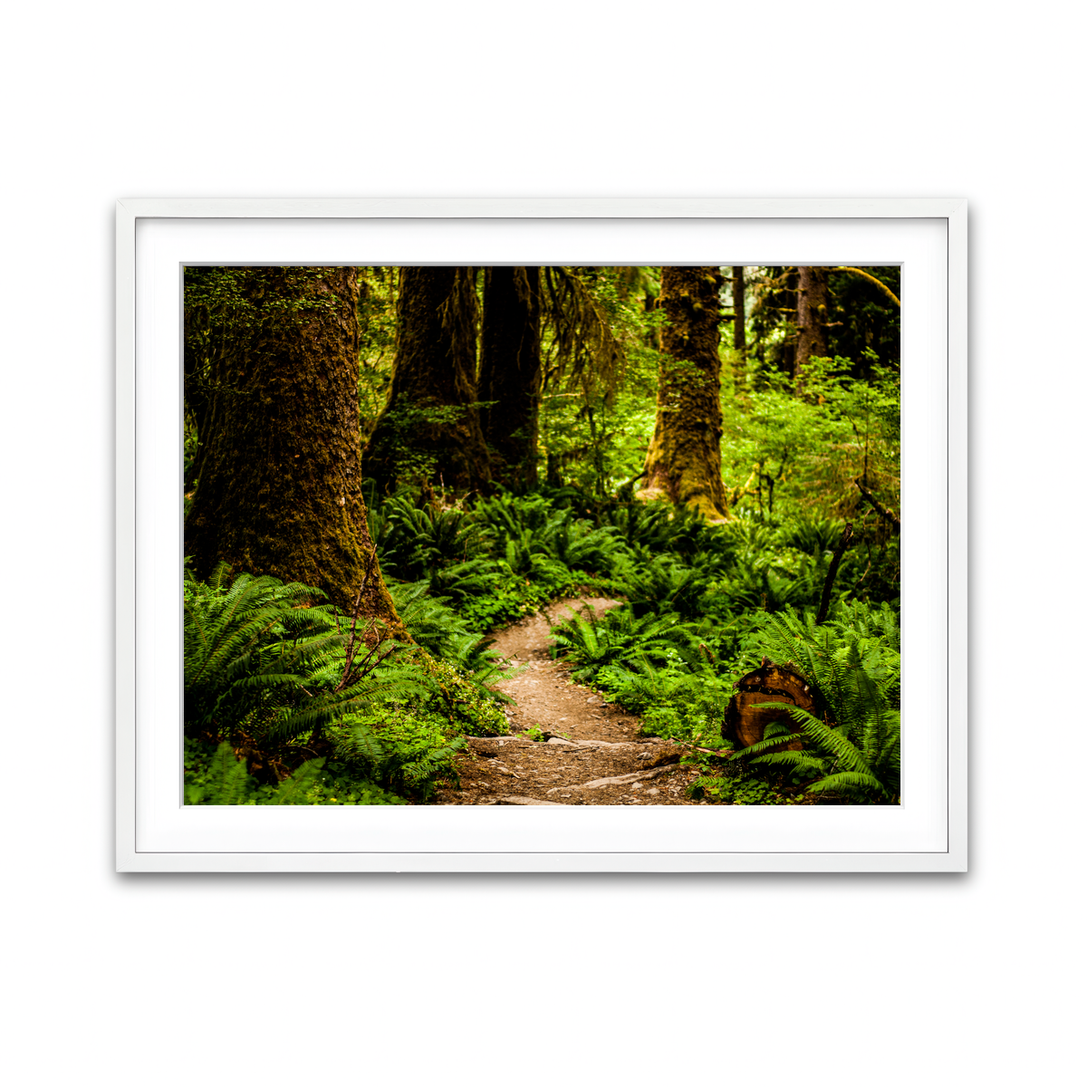 Framed Print 4x3 White