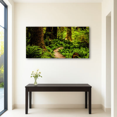 AUTO-MOCKUP ROOM | Hoh Rainforest