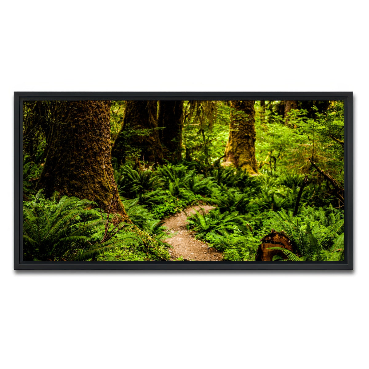 AUTO-MOCKUP WHITE | Hoh Rainforest | 1 Piece | Black Framed Canvas | group=2x1