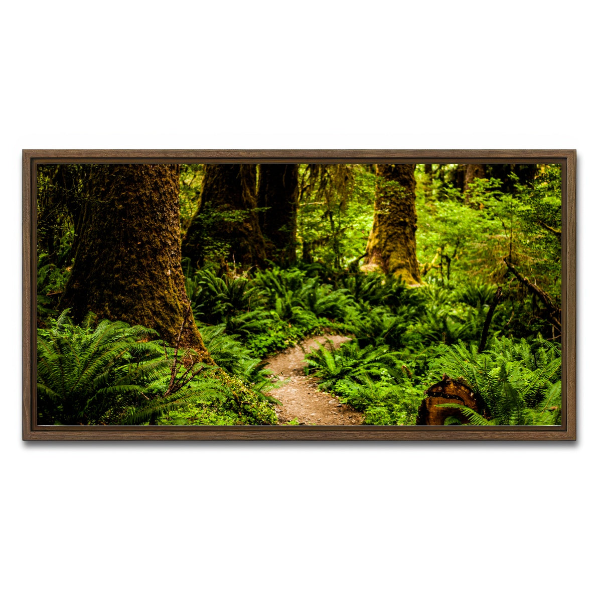 AUTO-MOCKUP WHITE | Hoh Rainforest | 1 Piece | Walnut Framed Canvas | group=2x1