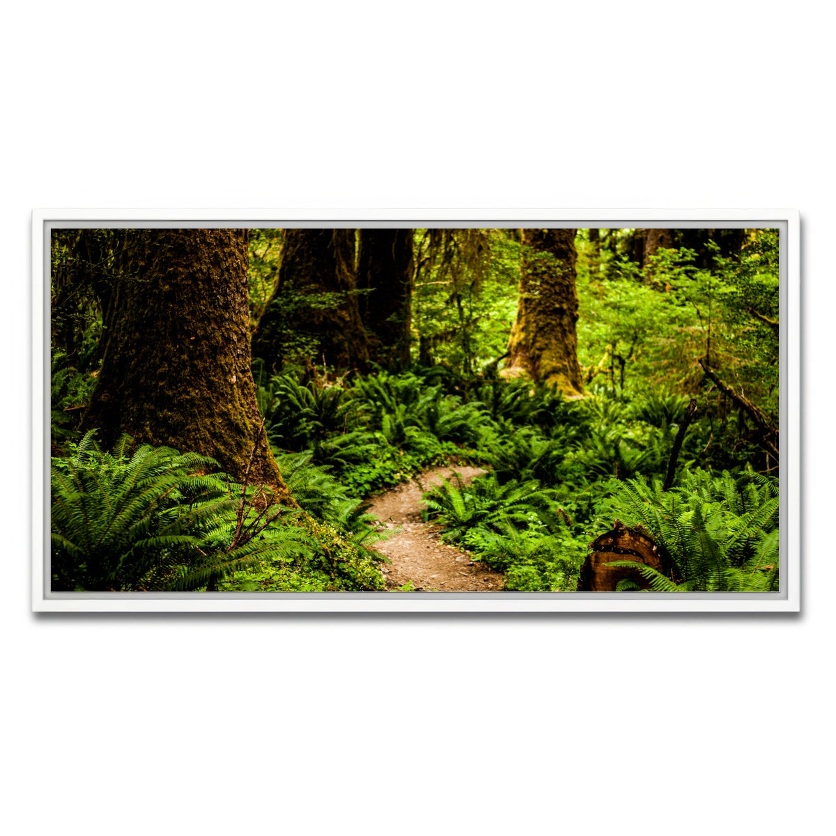 AUTO-MOCKUP WHITE | Hoh Rainforest | 1 Piece | White Framed Canvas | group=2x1