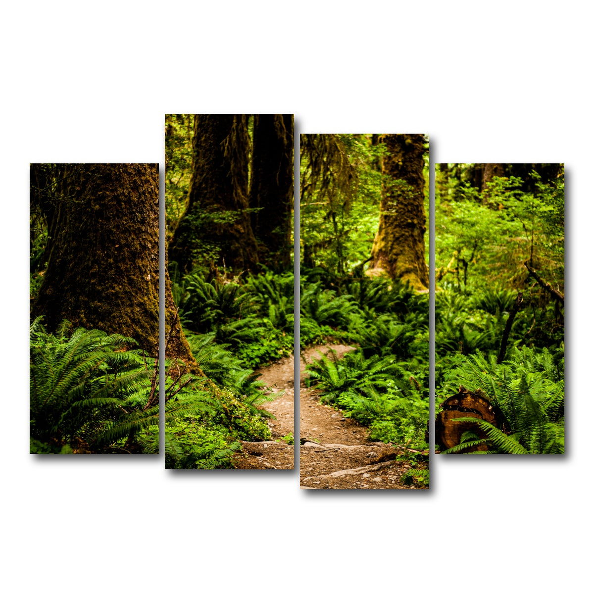 AUTO-MOCKUP WHITE | Hoh Rainforest | 4 Piece | Gallery Wrap Canvas | group=4_normal