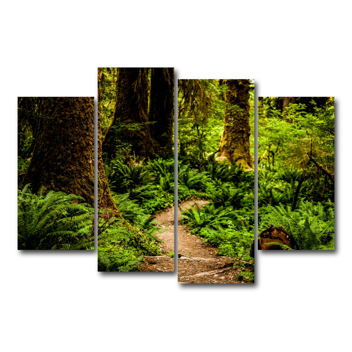 AUTO-MOCKUP WHITE | Hoh Rainforest | 4 Piece | Gallery Wrap Canvas | group=4_short