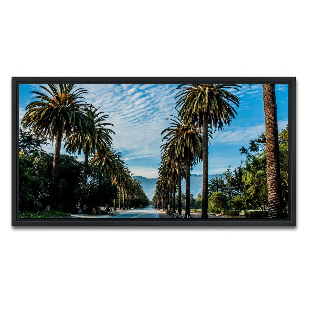 AUTO-MOCKUP WHITE | Hope Ranch Palm Drive | 1 Piece | Black Framed Canvas | group=2x1