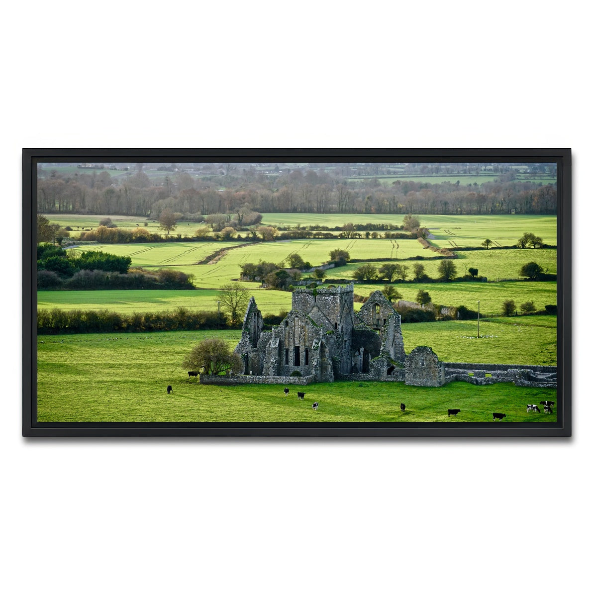 AUTO-MOCKUP WHITE | Hore Abbey, Ireland | 1 Piece | Black Framed Canvas | group=2x1