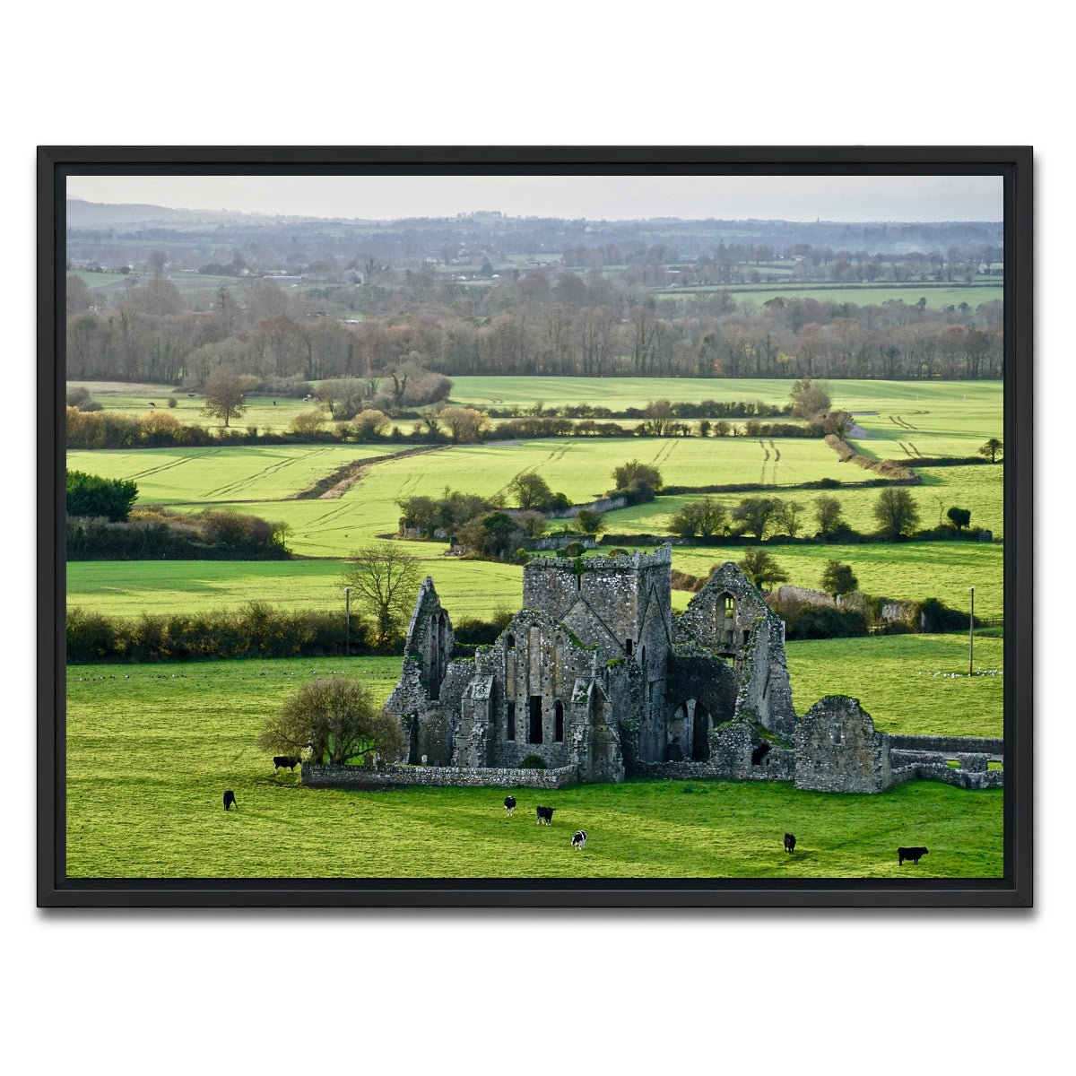 AUTO-MOCKUP WHITE | Hore Abbey, Ireland | 1 Piece | Black Framed Canvas | group=4x3