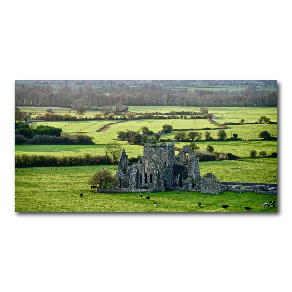 AUTO-MOCKUP WHITE | Hore Abbey, Ireland | 1 Piece | Gallery Wrap Canvas | group=2x1