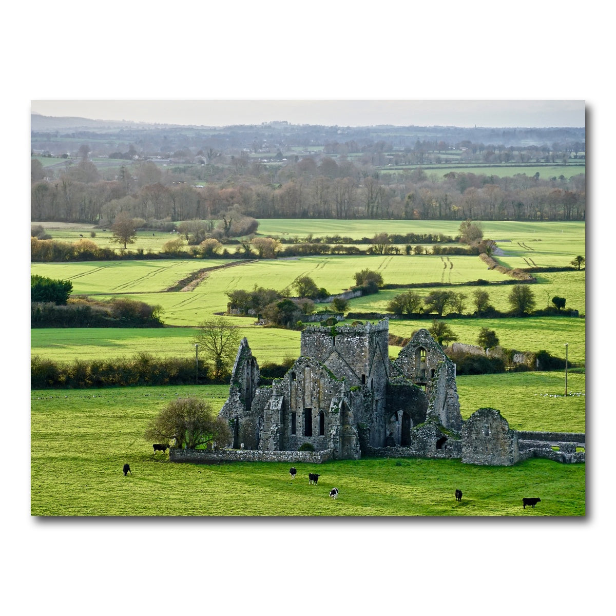AUTO-MOCKUP WHITE | Hore Abbey, Ireland | 1 Piece | Gallery Wrap Canvas | group=4x3