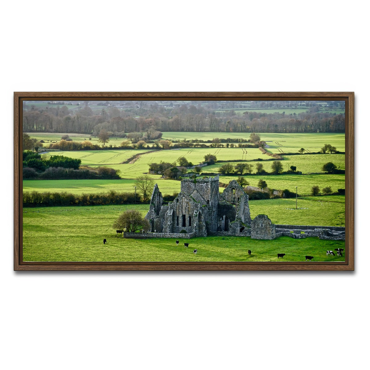 AUTO-MOCKUP WHITE | Hore Abbey, Ireland | 1 Piece | Walnut Framed Canvas | group=2x1