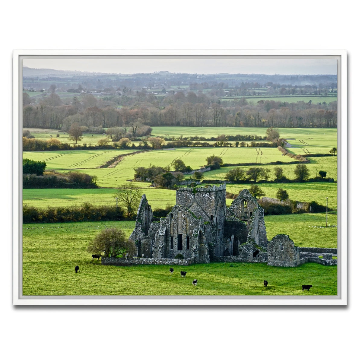 AUTO-MOCKUP WHITE | Hore Abbey, Ireland | 1 Piece | White Framed Canvas | group=4x3