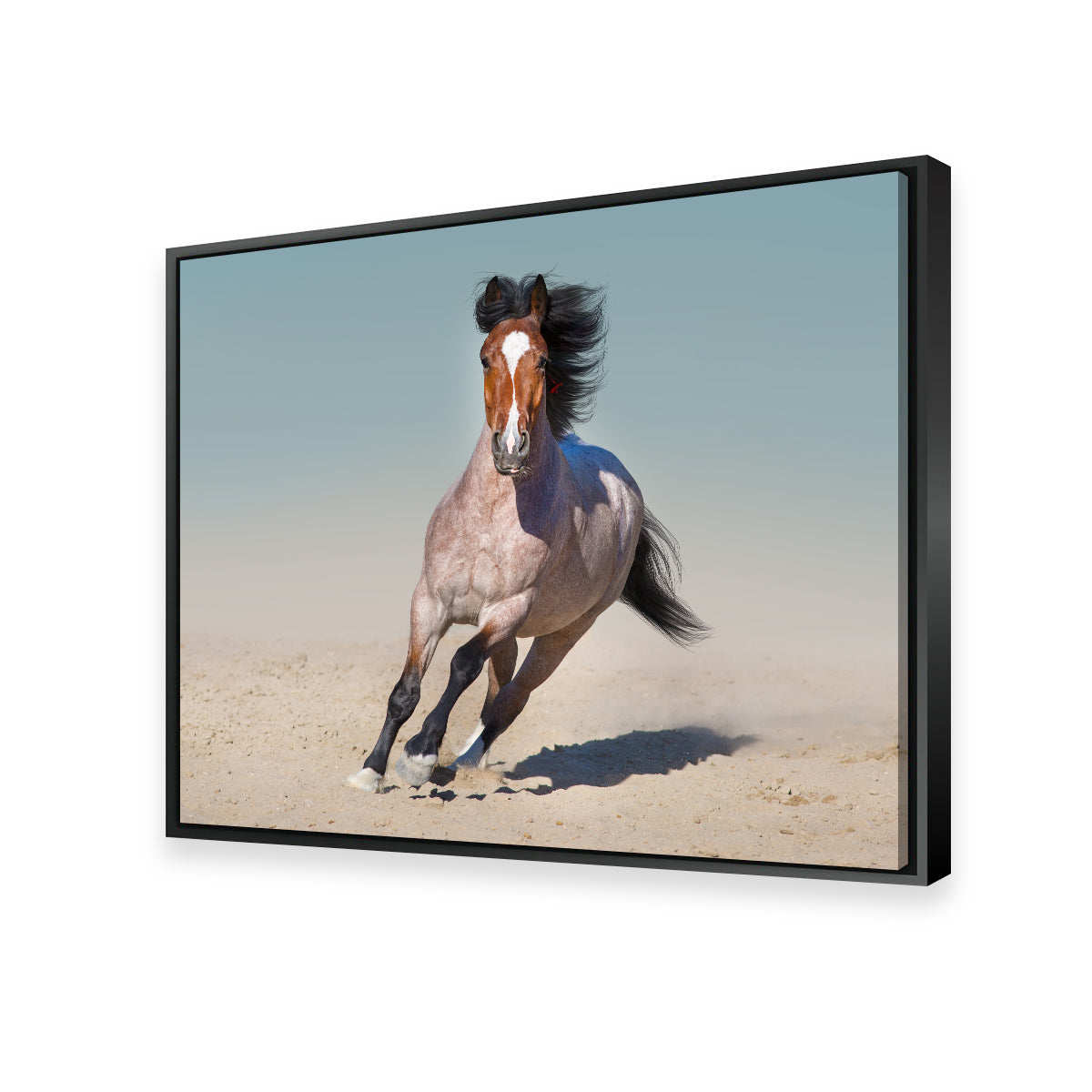 Horse Desert Run Wall Art