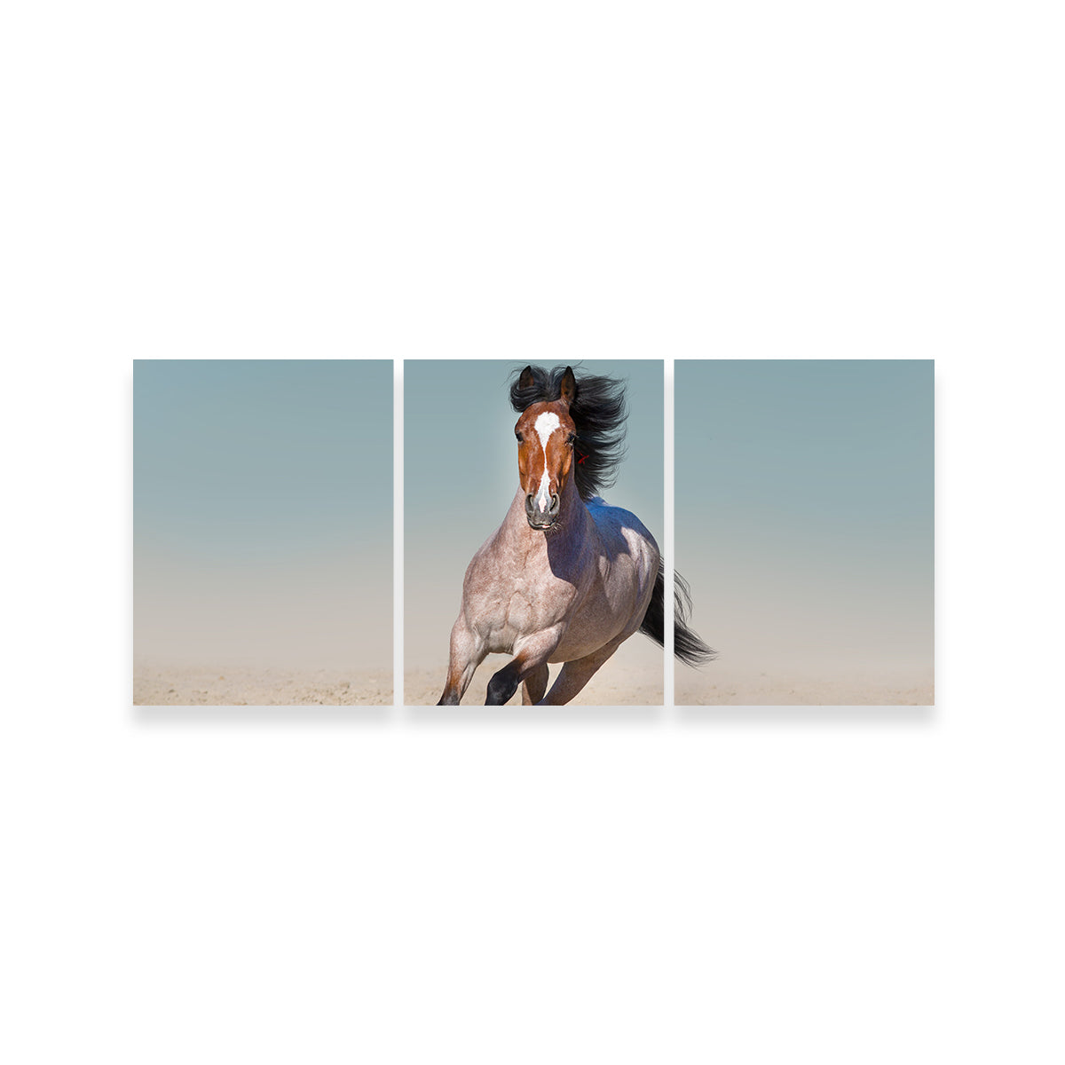 Horse Desert Run Wall Art