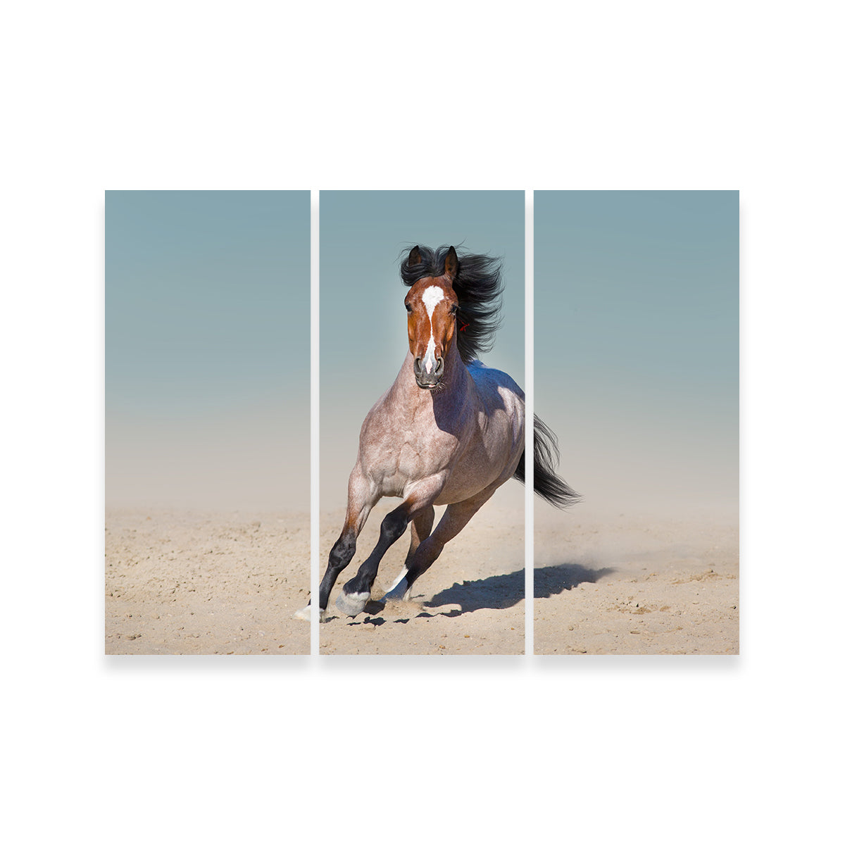Horse Desert Run Wall Art