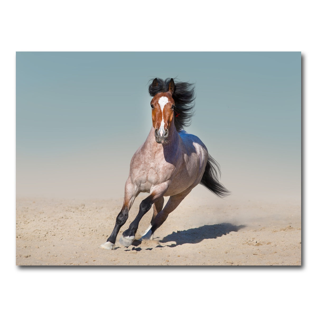 AUTO-MOCKUP WHITE | Horse Desert Run | 1 Piece | Gallery Wrap Canvas | group=4x3