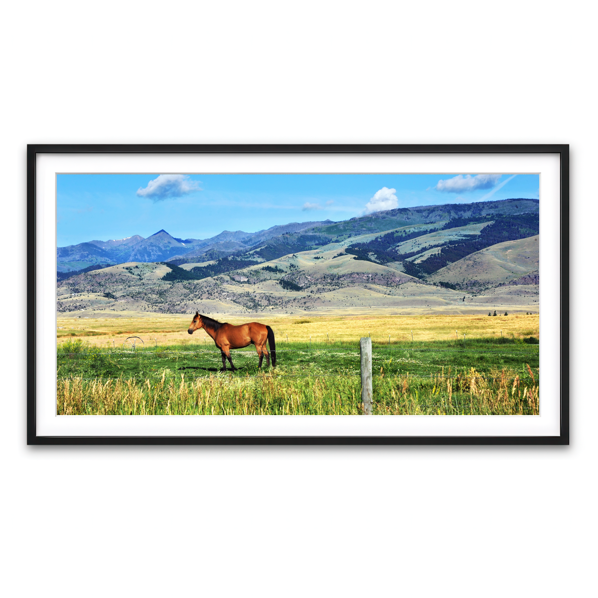 Framed Print 2x1 Black