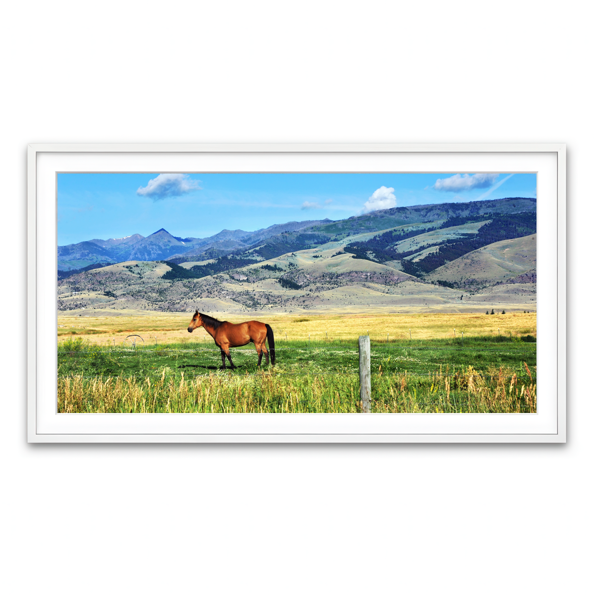 Framed Print 2x1 White