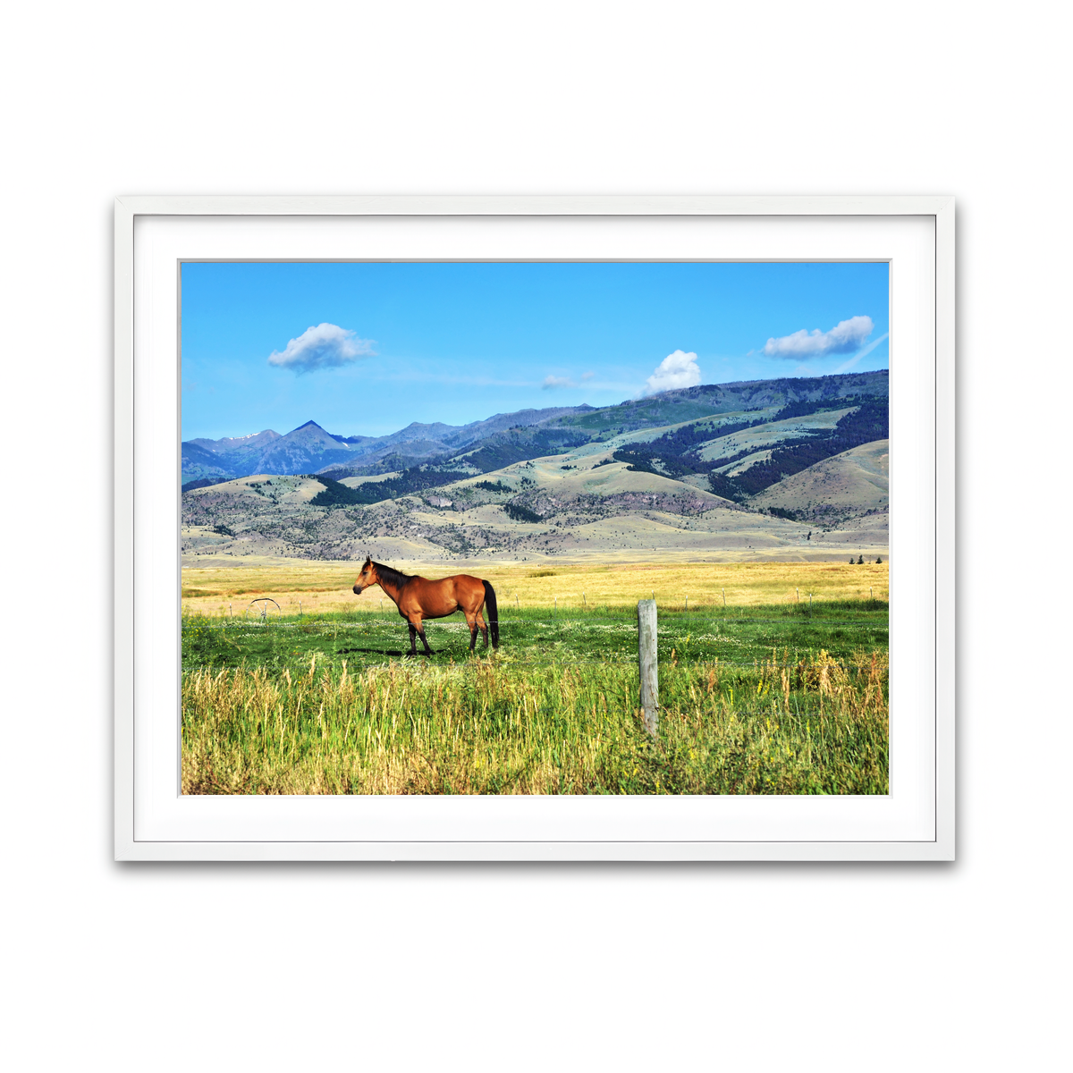 Framed Print 4x3 White