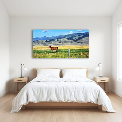 AUTO-MOCKUP ROOM | Horse Grazes in Paradise Valley