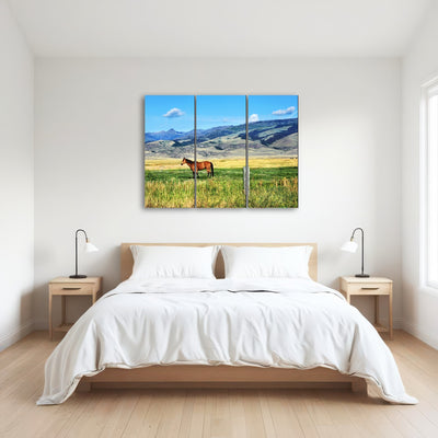 AUTO-MOCKUP ROOM | Horse Grazes in Paradise Valley
