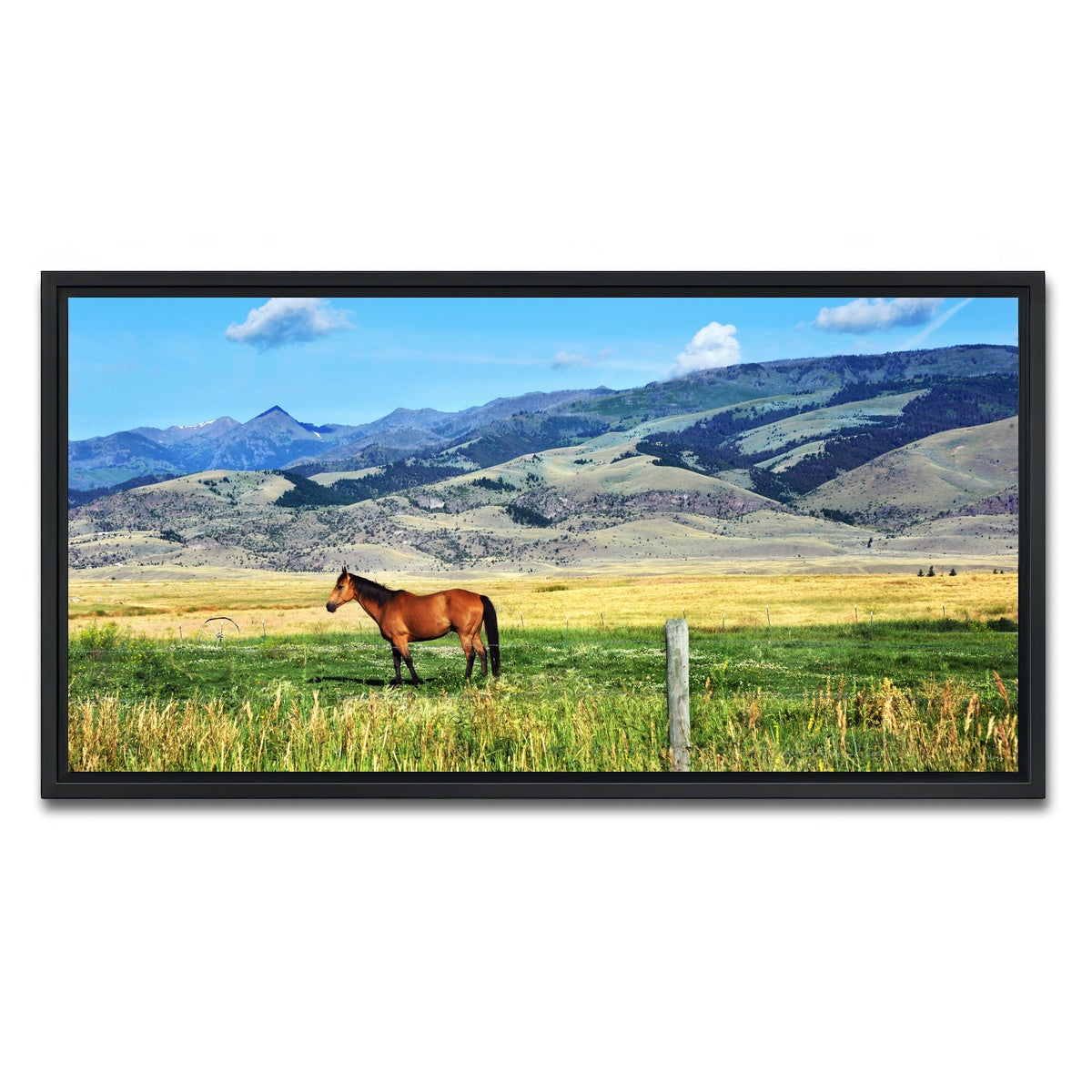 AUTO-MOCKUP WHITE | Horse Grazes in Paradise Valley | 1 Piece | Black Framed Canvas | group=2x1