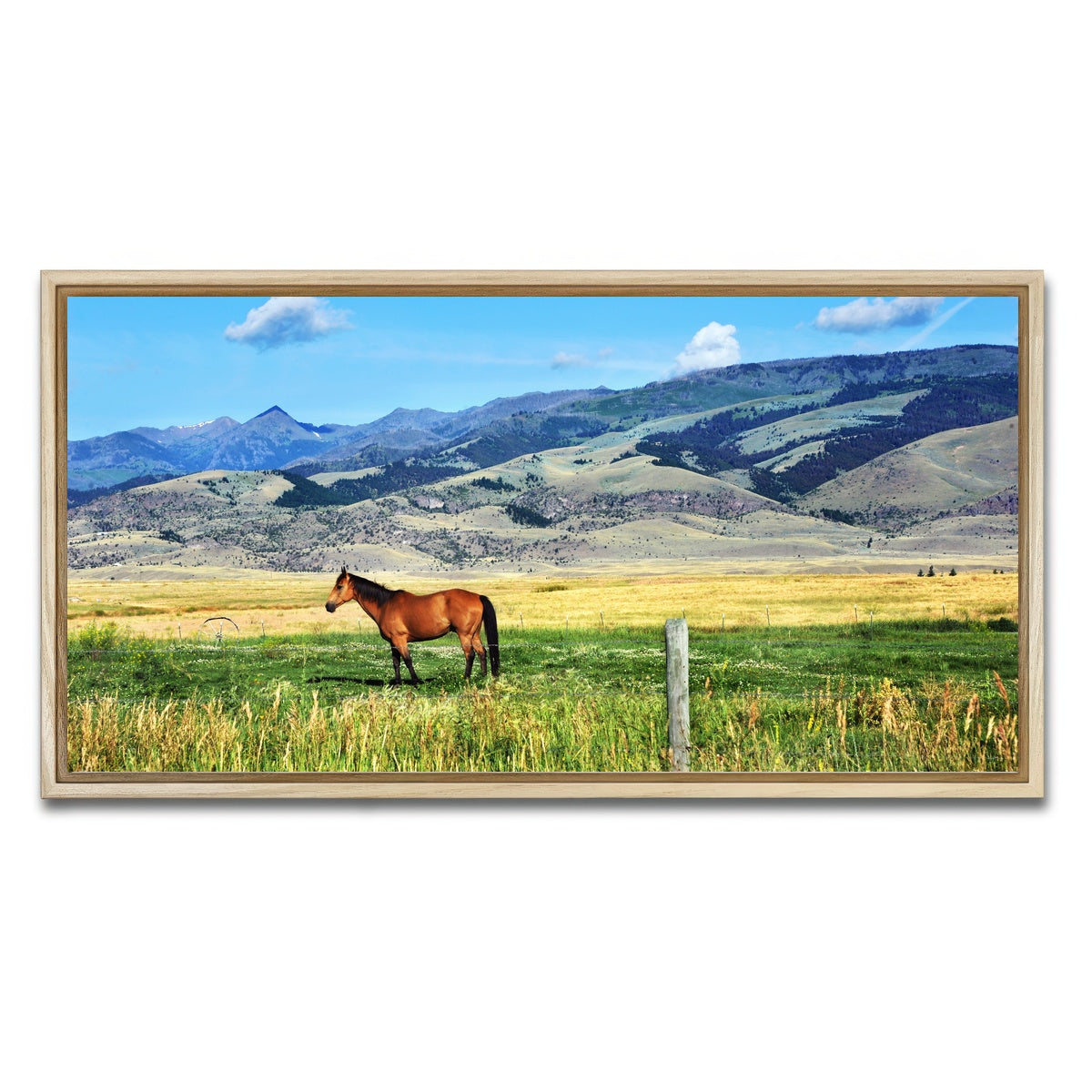 AUTO-MOCKUP WHITE | Horse Grazes in Paradise Valley | 1 Piece | Natural Framed Canvas | group=2x1