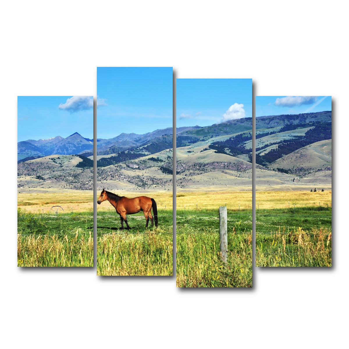 AUTO-MOCKUP WHITE | Horse Grazes in Paradise Valley | 4 Piece | Gallery Wrap Canvas | group=4_normal
