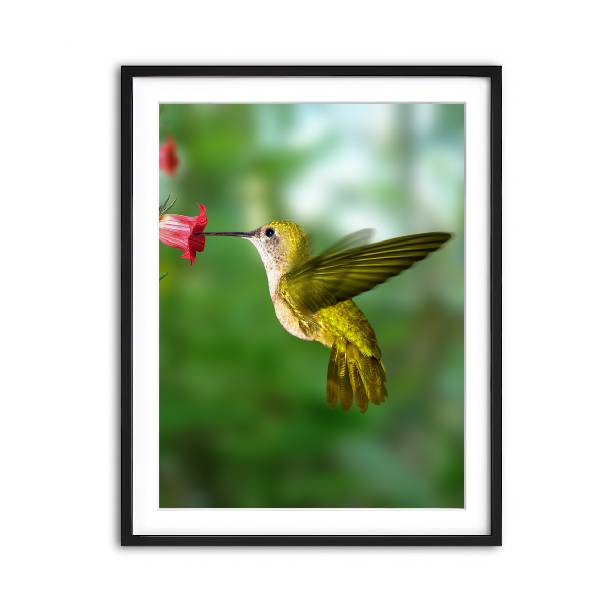 Framed Print 3x4 Black