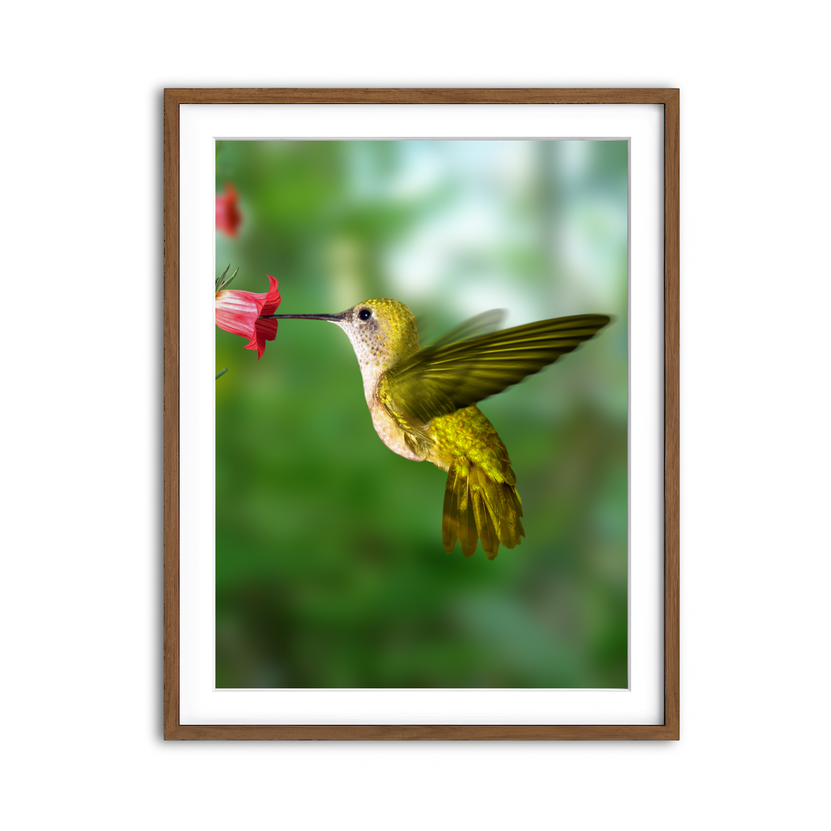 Framed Print 3x4 Walnut