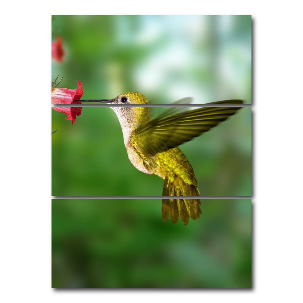 AUTO-MOCKUP WHITE | Hummingbird flying | 3 Piece | Gallery Wrap Canvas | group=8x18_stacked