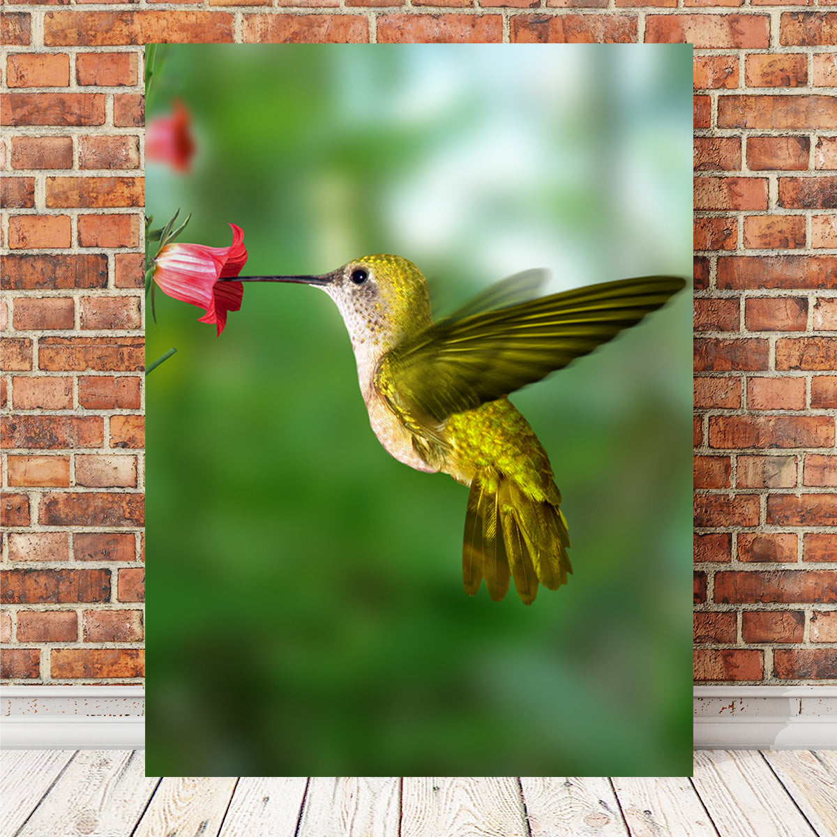 Hummingbird Flying Wall Art