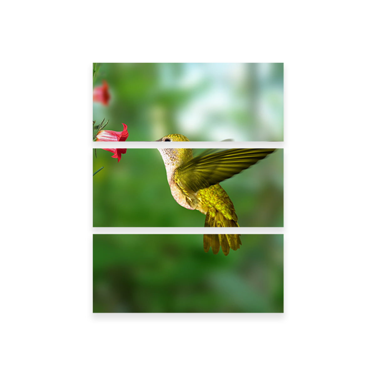 Hummingbird Flying Wall Art