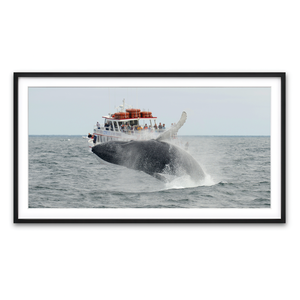 Framed Print 2x1 Black