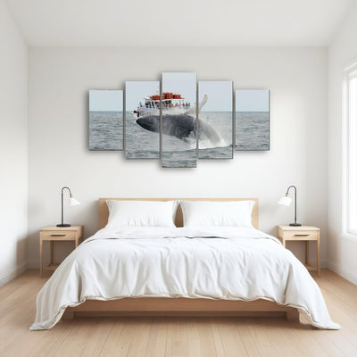AUTO-MOCKUP ROOM | Humpback - Cape Cod