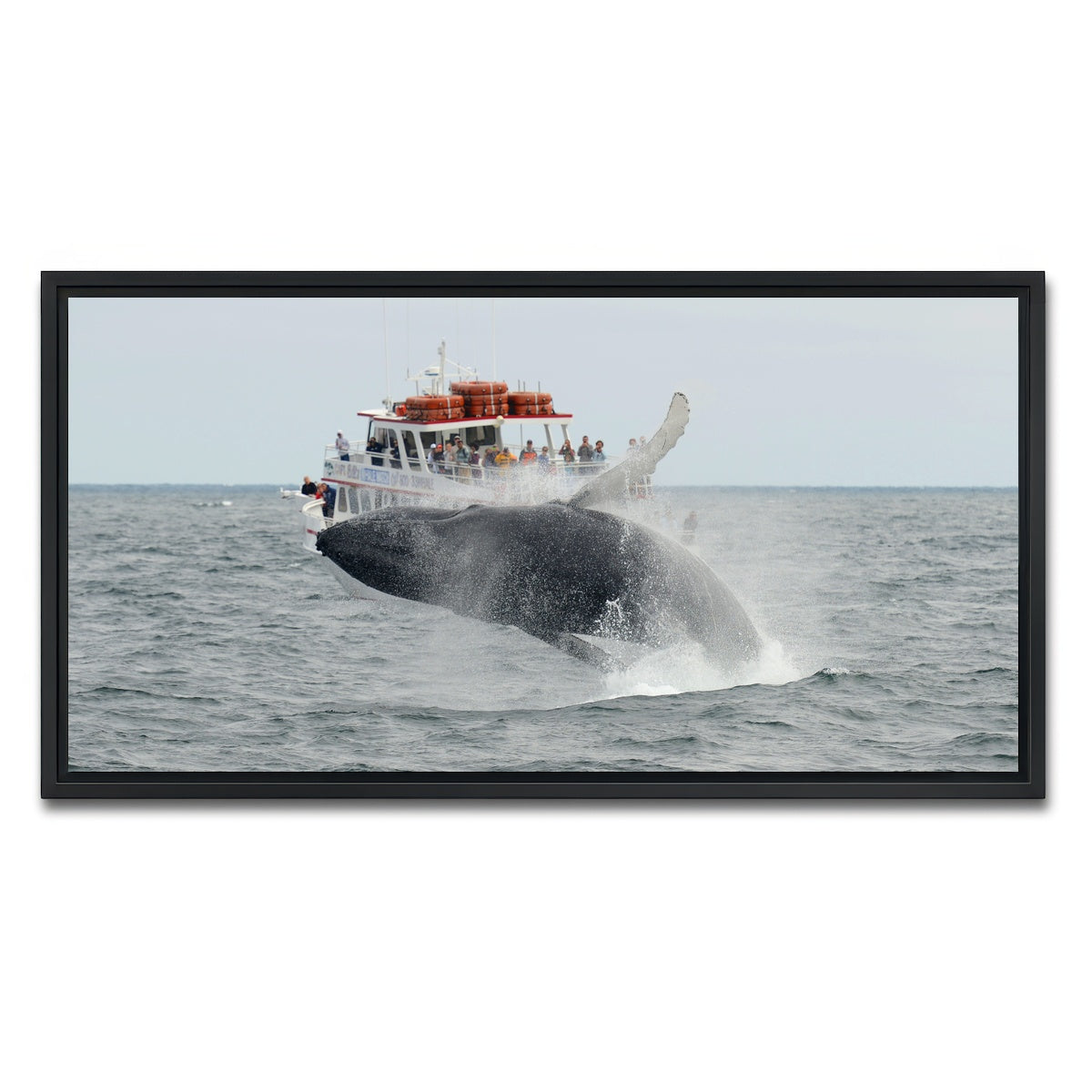 AUTO-MOCKUP WHITE | Humpback - Cape Cod | 1 Piece | Black Framed Canvas | group=2x1