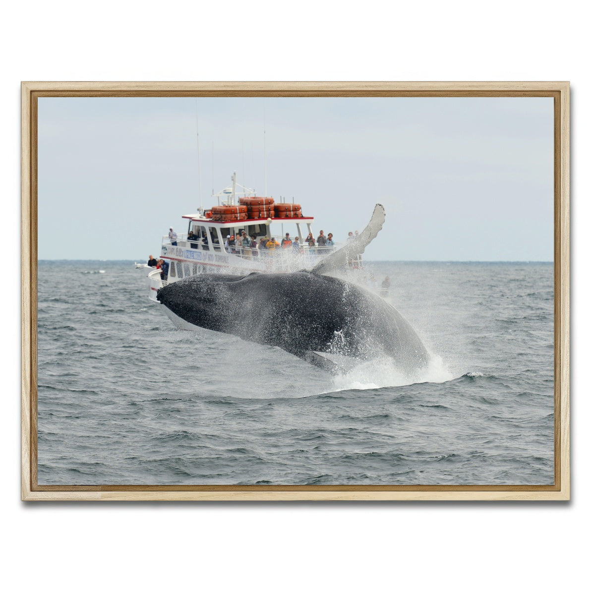 AUTO-MOCKUP WHITE | Humpback - Cape Cod | 1 Piece | Natural Framed Canvas | group=4x3