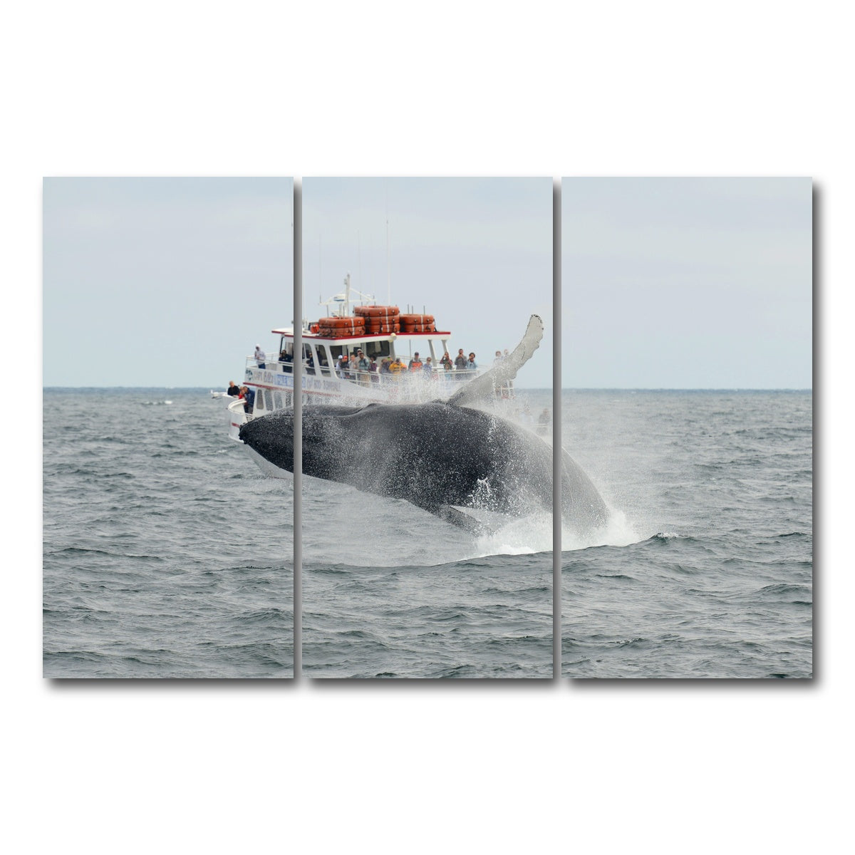AUTO-MOCKUP WHITE | Humpback - Cape Cod | 3 Piece | Gallery Wrap Canvas | group=12x24